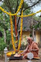 Shirali  Day 10 -  Shami Puja